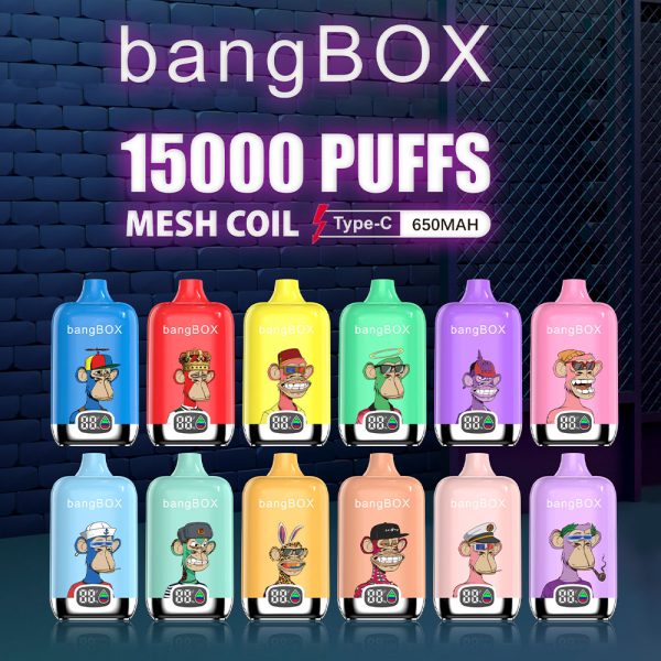 BANG BOX 15000 Puff kategooriate pisipilt