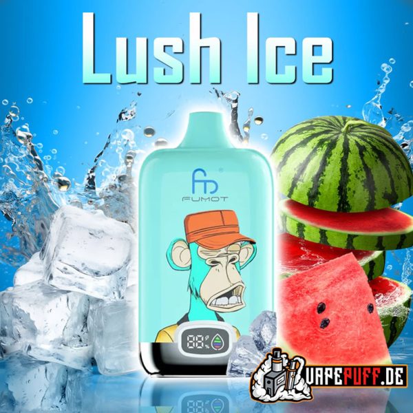 LUSH ICE randm 12000