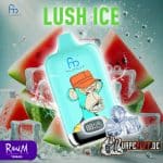 randm 12k lushice